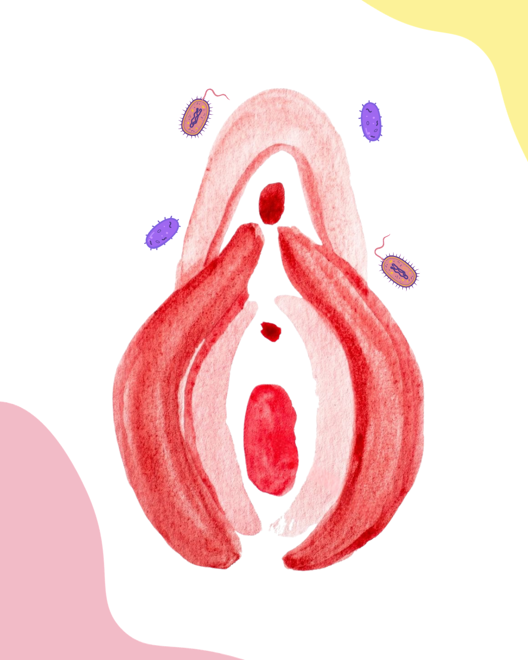 The Vaginal Microbiome & Period Pain.. Are They Connected?